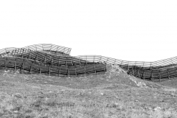 Oder das Tal aufgeben N° 35, 2012