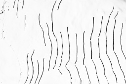 Oder das Tal aufgeben N° 27, 2014