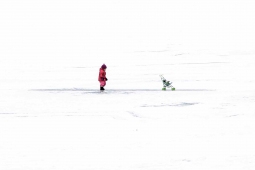 PFÄFFIKERSEE, 2012
