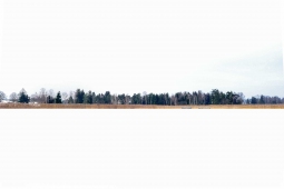 PFÄFFIKERSEE, 2012
